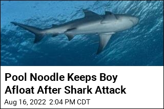 Boy Snorkeling in Florida Keys Loses Lower Leg to Shark Bite