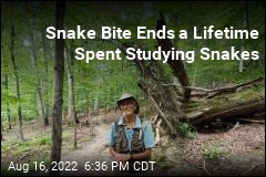 Rattlesnake Bite Kills Respected Snake Expert