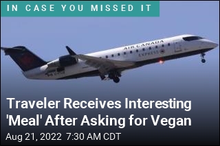 She Asked for Vegan Meals on Flight, Got Water Bottle, Napkin