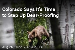 Colorado: Bear-Proof Your Home or Bears Will Die