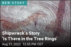 Tree Ring Data May Have Solved Mystery of Missing Ship