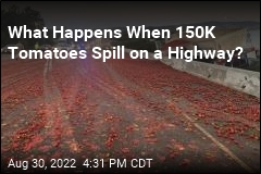 Tomato Spill Creates Mega Mess on California Highway