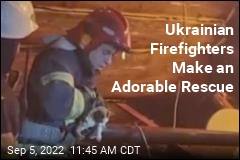 Ukrainian Firefighters&#39; Latest Save Was Really Cute
