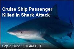 US Mom Killed in Bahamas Shark Attack