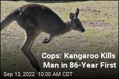 Cops: Kangaroo Kills Man in 86-Year First