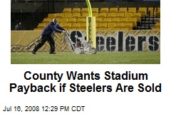 County Wants Stadium Payback if Steelers Are Sold