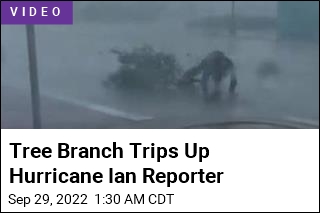 Tree Branch Trips Up Hurricane Ian Reporter