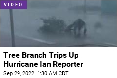 Tree Branch Trips Up Hurricane Ian Reporter