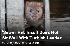 Turkish Leader Sues to Prove He Is Not a &#39;Sewer Rat&#39;