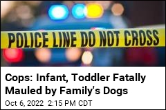 Cops: Infant, Toddler Fatally Mauled by Family&#39;s Dogs