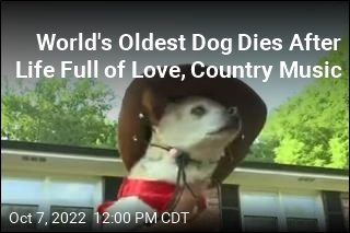 World&#39;s Oldest Dog Dies at 22