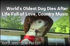 World&#39;s Oldest Dog Dies at 22