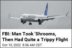FBI: Man Took &#39;Shrooms, Then Had Quite a Trippy Flight