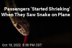 Snake on a Plane Had Passengers &#39;Shrieking&#39;