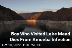 Brain-Eating Amoeba Kills Teen Who Swam at Lake Mead
