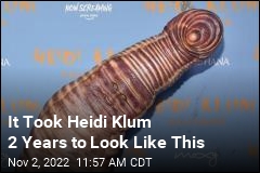 It Took Heidi Klum 2 Years to Look Like This