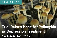 Trial Raises Hope for Psilocybin as Depression Treatment