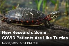 New Research: Some COVID Patients Are Like Turtles