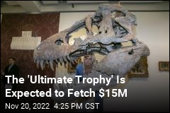 Few T. Rex Skulls This Good Exist, Which Makes This Sale Huge