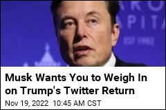 Musk&#39;s New Gauge on Possible Trump Twitter Return: a Poll