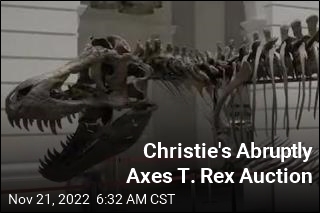 Christie&#39;s Abruptly Axes T. Rex Auction