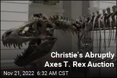 Christie&#39;s Abruptly Axes T. Rex Auction