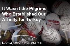 It Wasn&#39;t the Pilgrims Who Established Our Affinity for Turkey