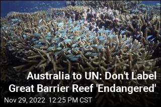 Australia to UN: Don&#39;t Label Great Barrier Reef &#39;Endangered&#39;