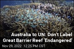 Australia to UN: Don&#39;t Label Great Barrier Reef &#39;Endangered&#39;
