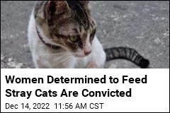 Women&#39;s Insistence on Feeding Stray Cats Ends in Conviction