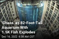 &#39;Chaos&#39; as Largest Freestanding Cylindrical Aquarium Explodes