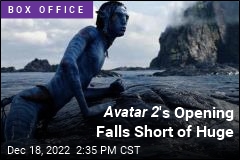 Avatar 2 &#39;s Opening Falls Short of Huge