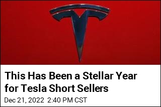 This Has Been a Stellar Year for Tesla Short Sellers