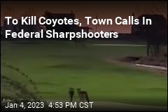 To Kill Coyotes, Town Calls In Federal Sharpshooters