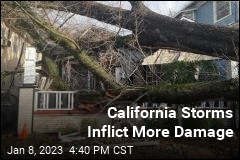High Winds Inflict Damage in California