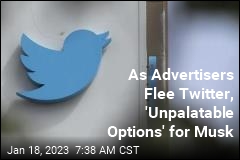 Twitter&#39;s Revenue Is Plummeting