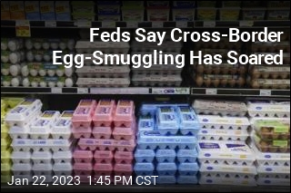 Feds Say Cross-Border Egg-Smuggling Has Soared
