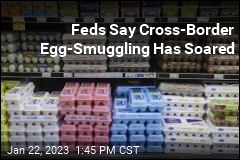 Feds Say Cross-Border Egg-Smuggling Has Soared