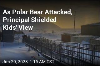 As Polar Bear Attack Unfolded Outside School, Principal Shielded Kids&#39; View