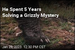 He Spent 5 Years Investigating Grizzlies&#39; Missing Toes