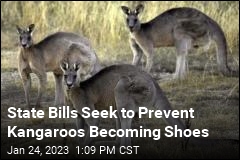 State Bills Seek to Prevent Kangaroos Becoming Shoes