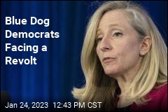 Blue Dog Democrats Facing a Revolt