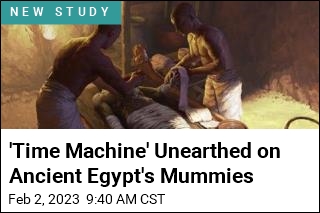 It&#39;s Almost Like Peering Over Shoulders of Mummy Makers