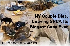 NY Couple Dies, Leaving 150 Cats in &#39;Squalor&#39;