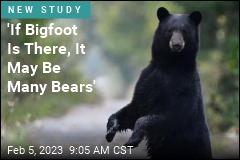 Research Won&#39;t Please Believers in Bigfoot