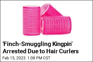 &#39;Finch-Smuggling Kingpin&#39; Arrested Due to Hair Curlers