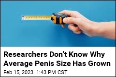 Study: Average Penis Size Is Up 24% in Less Than 30 Years