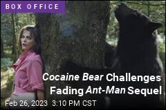 Cocaine Bear Challenges Fading Ant-Man Sequel