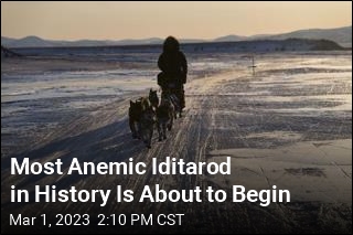 Iditarod Field Is &#39;a Little Scary&#39; This Year