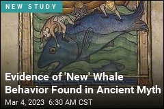 Evidence of &#39;New&#39; Whale Behavior Found in Ancient Myth